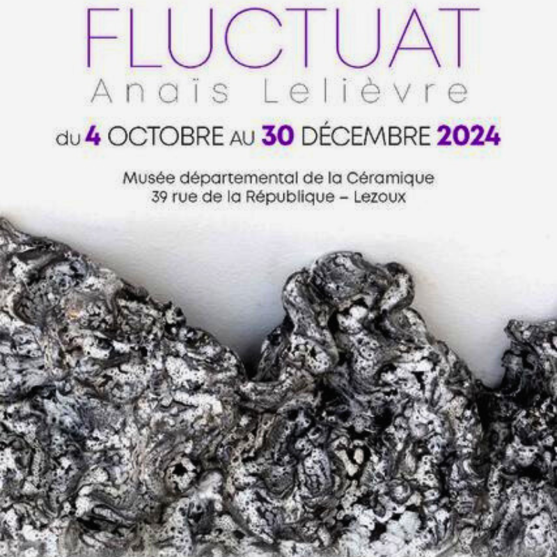 Anaïs Lelièvre, exposition Fluctuat
